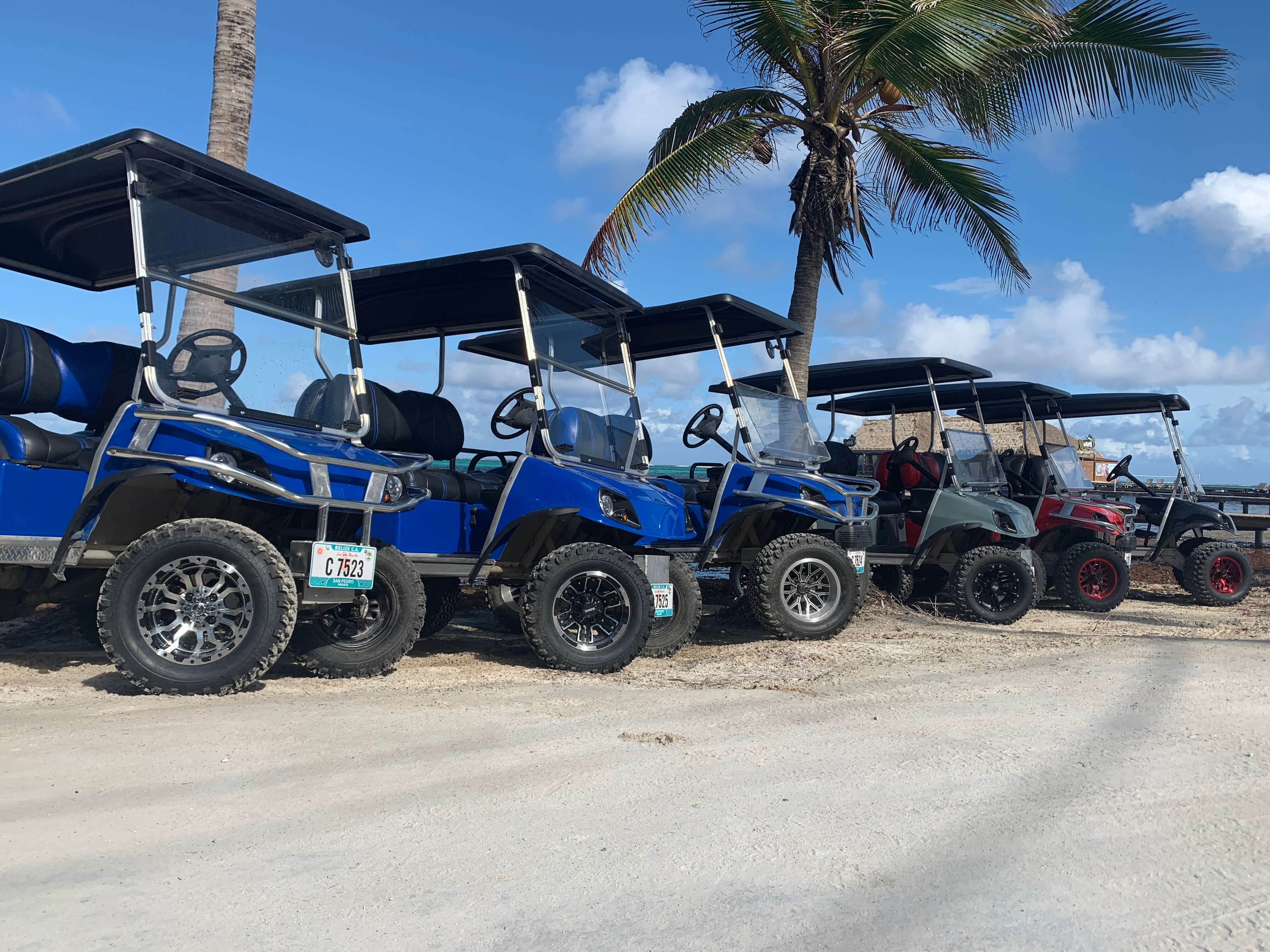 Shark Ray Alley San Pedro Belize